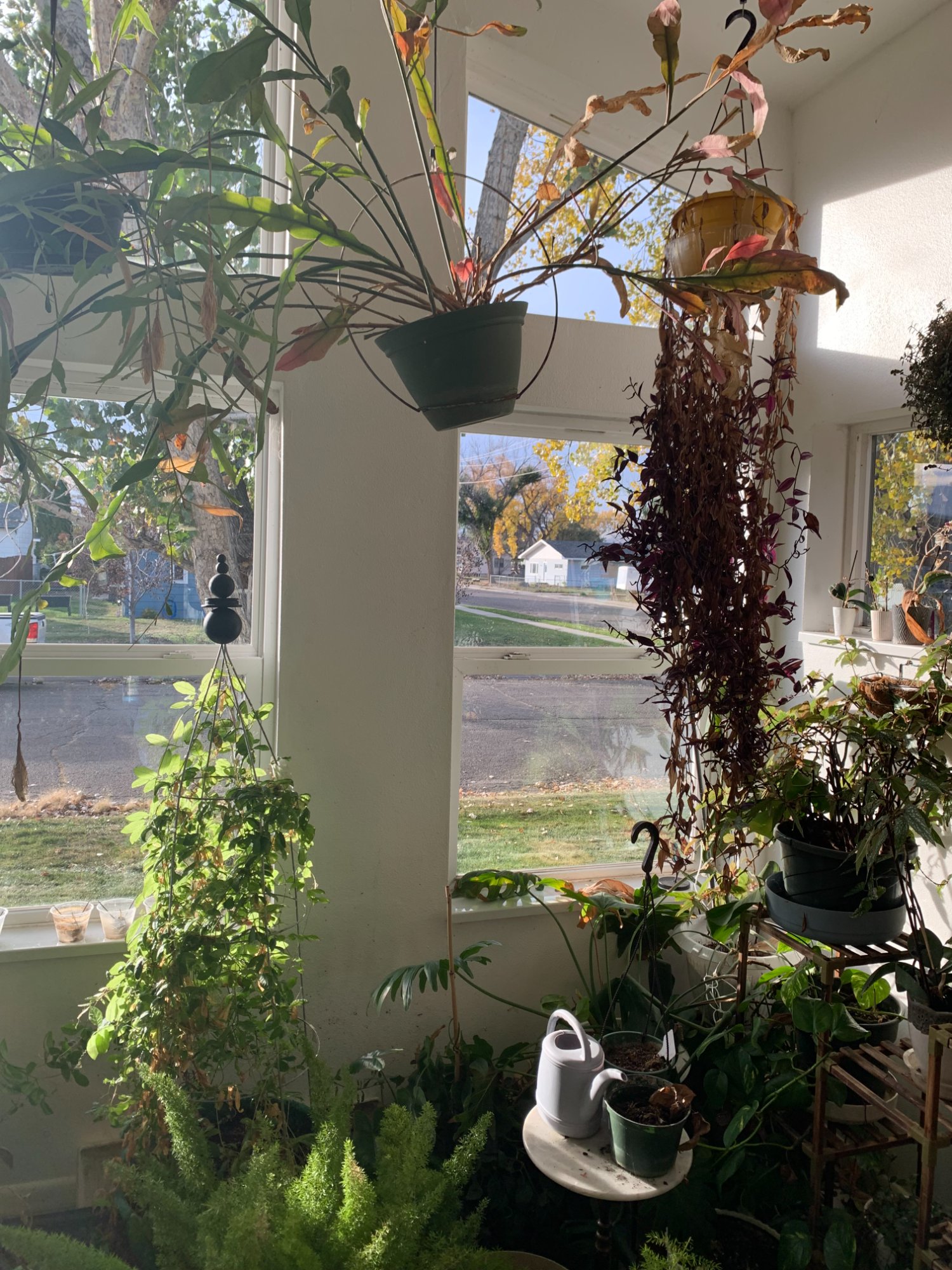 After interior window washing Montana - crystal clear windows Billings MT home