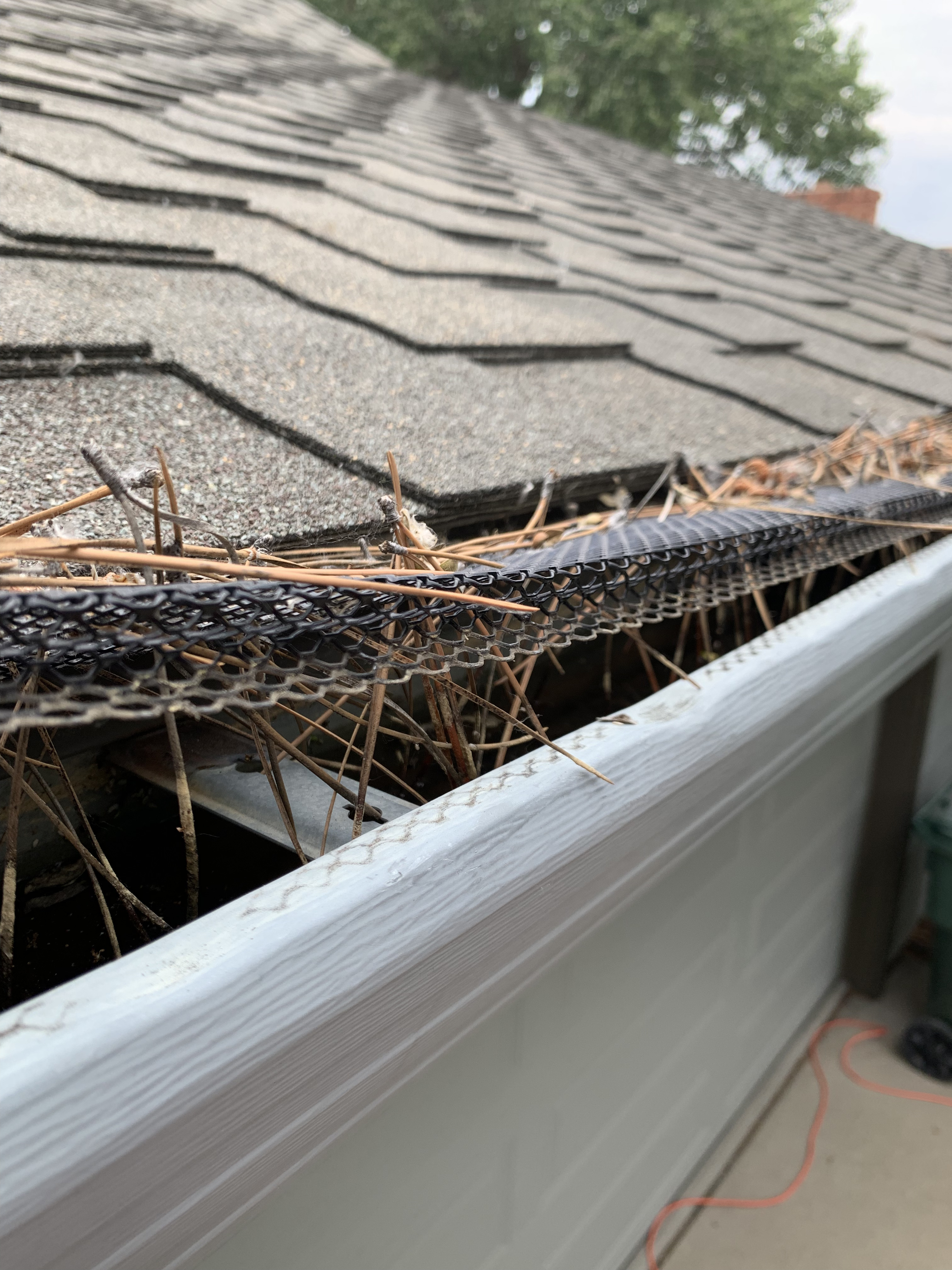 Before gutter cleaning Montana - clogged debris filled gutters Eastern Montana