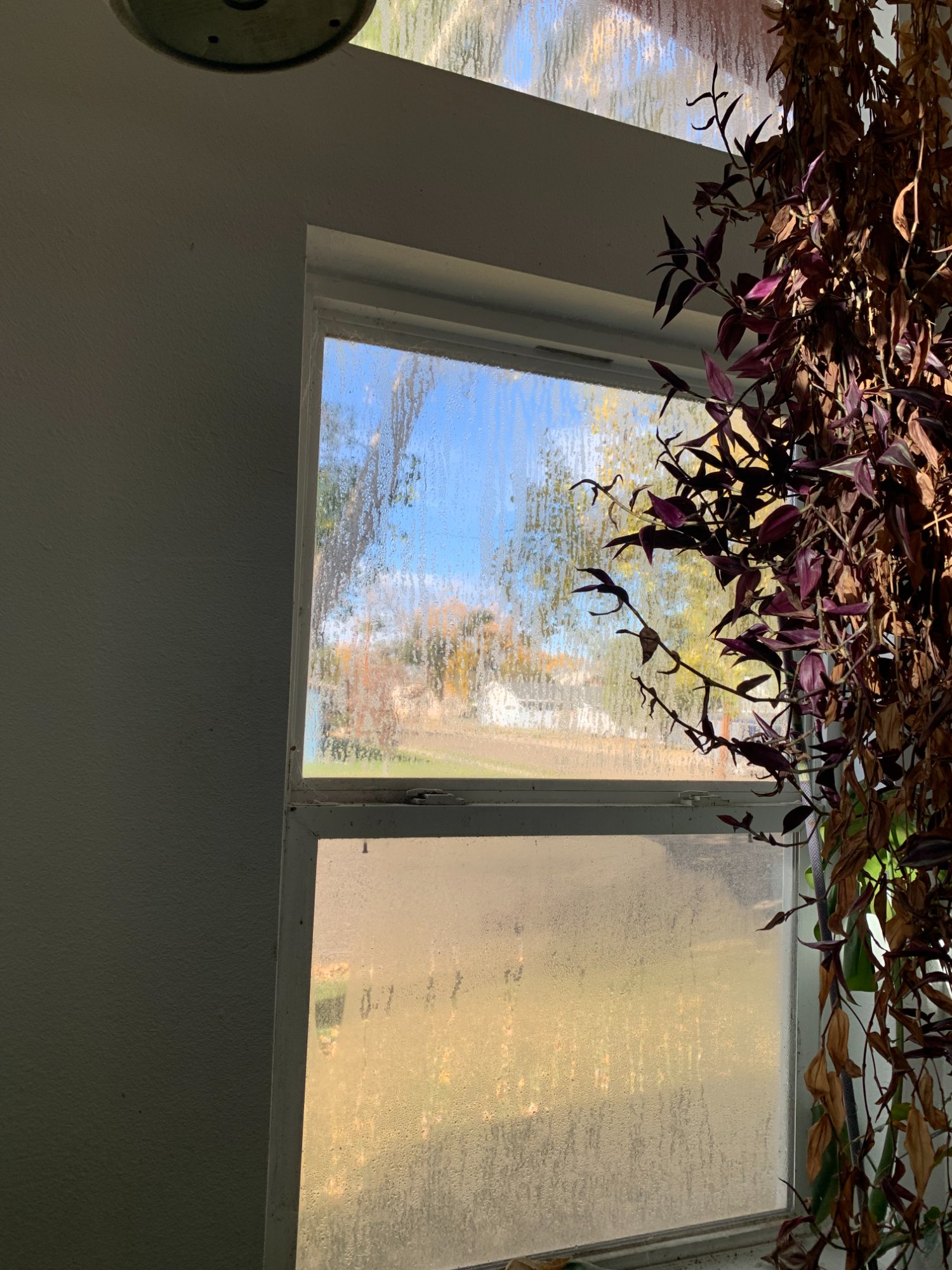 Before interior window washing Montana - foggy hard water stained windows Billings MT