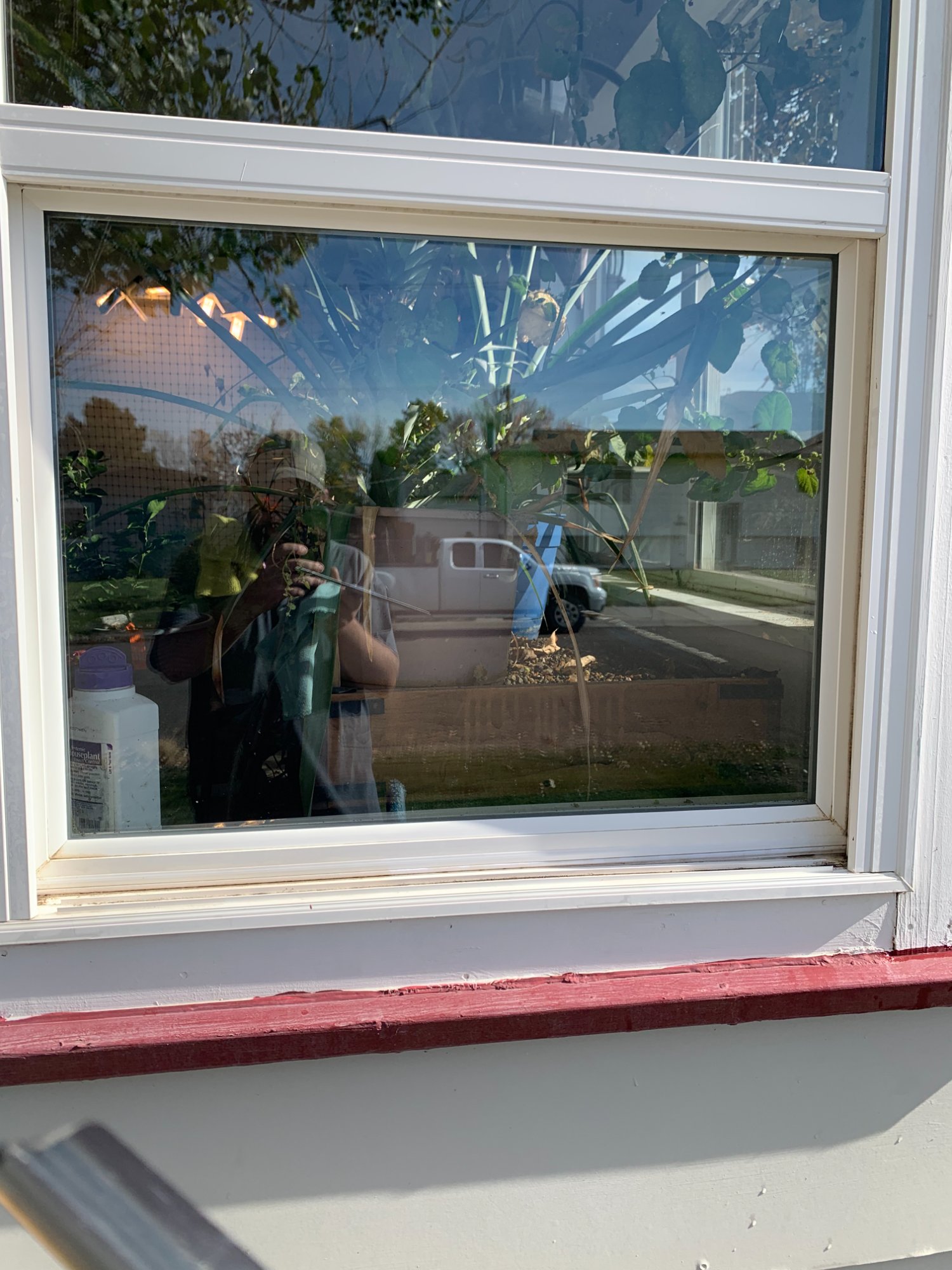 After window washing Miles City MT - mineral deposit removal crystal clear result