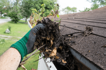 Gutter Cleaning